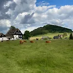 Hotel Pansky Dum - *