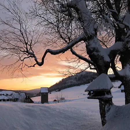 Pansky Dum - 酒店 *