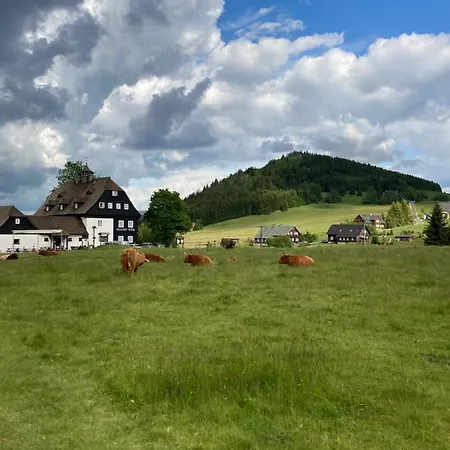 Hotel Panský Dům - *