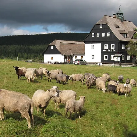 ホテル Pansky Dum -