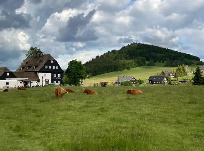 Hotel Pansky Dum - *